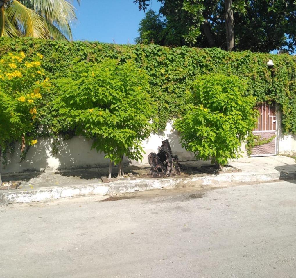Villa Bonita Casa A Dos Cuadras Del Mar Playa del Carmen Exterior foto